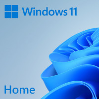 Установка лицензионной Microsoft Windows 11 Home